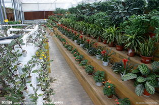 生態園區 綠色發展的視覺盛宴與實踐探索