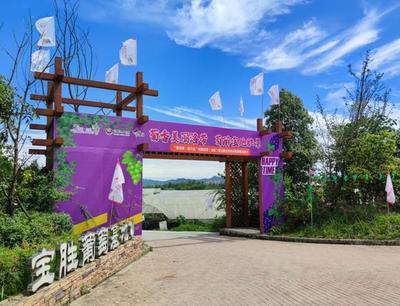 把課堂搬到泥土里，龍泉驛生態園打造校外勞動教育基地