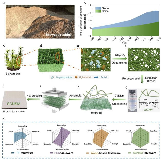 中科大俞書宏院士團(tuán)隊AM:可食用、超強(qiáng)、熱穩(wěn)定好的海藻基結(jié)構(gòu)材料,可生物降解餐具新選擇!
