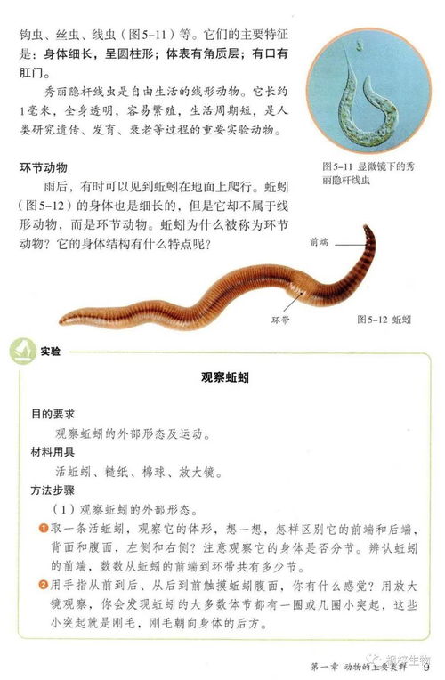 人教版八年級(jí)上冊(cè)生物電子課本教材 高清pdf版