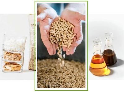 斯道拉恩索2019年業(yè)績(jī)解讀 生物質(zhì)材料事業(yè)部生物基材料銷售亮點(diǎn)